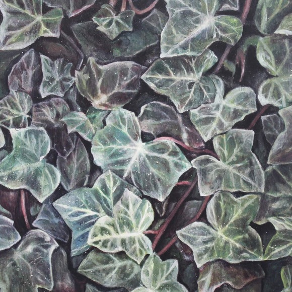 Meet your Posher, Ashlyn - Picture 1 of 1